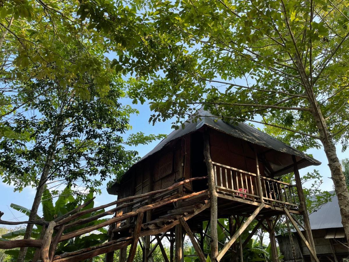 Sunny Field Eco Stilt House Cat Tien Exterior foto