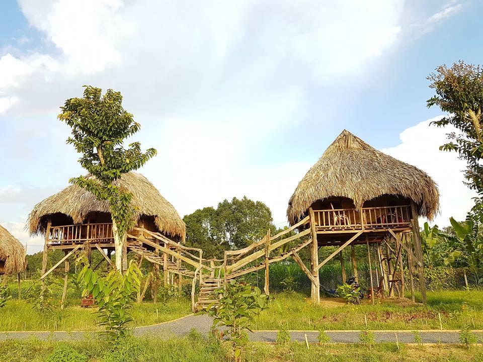 Sunny Field Eco Stilt House Cat Tien Exterior foto