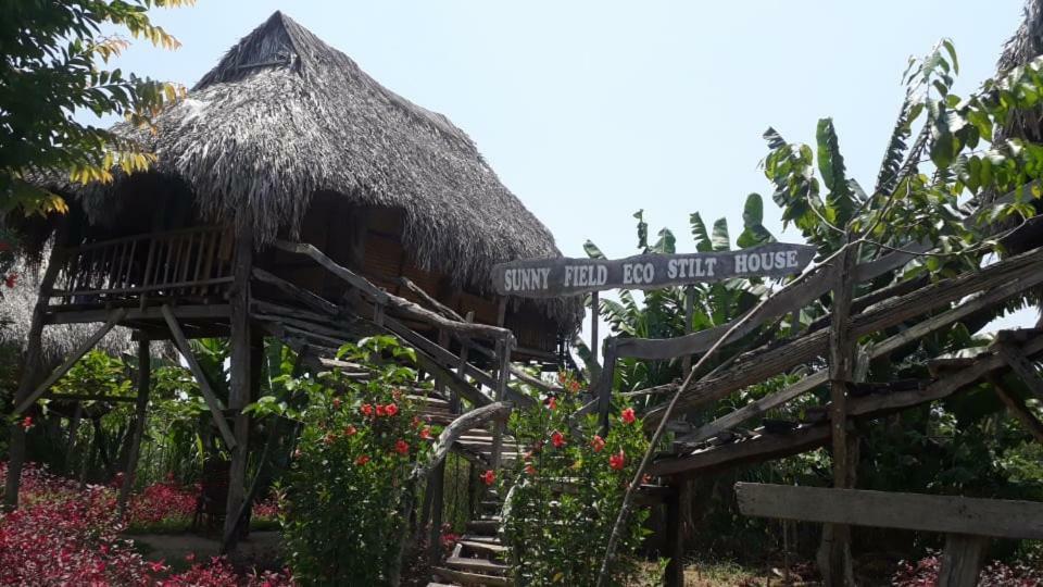 Sunny Field Eco Stilt House Cat Tien Exterior foto