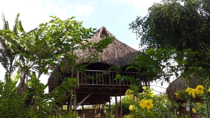 Sunny Field Eco Stilt House Cat Tien Exterior foto